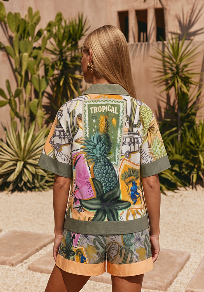 SET CACTUS