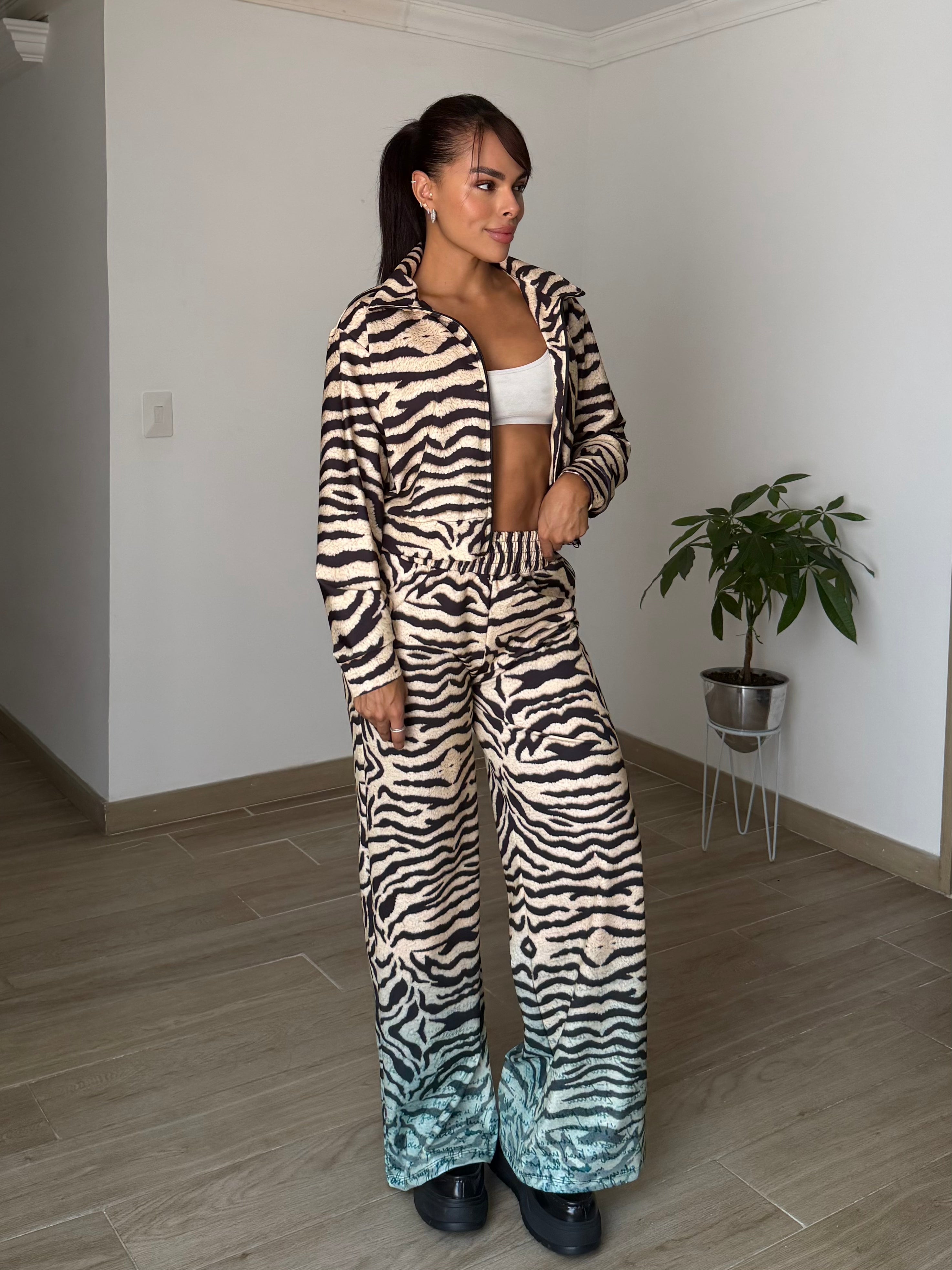 SET ZEBRA