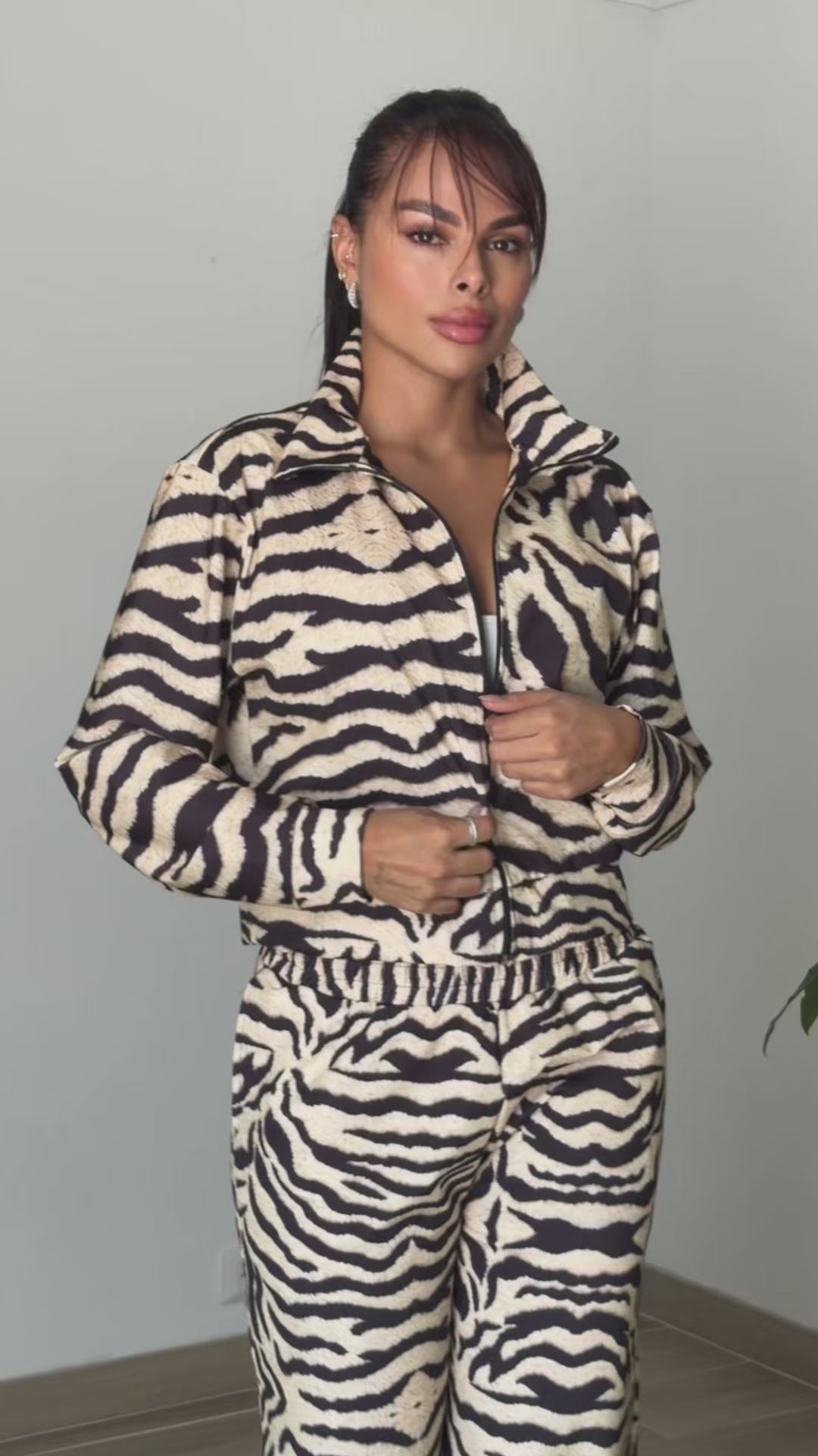 SET ZEBRA